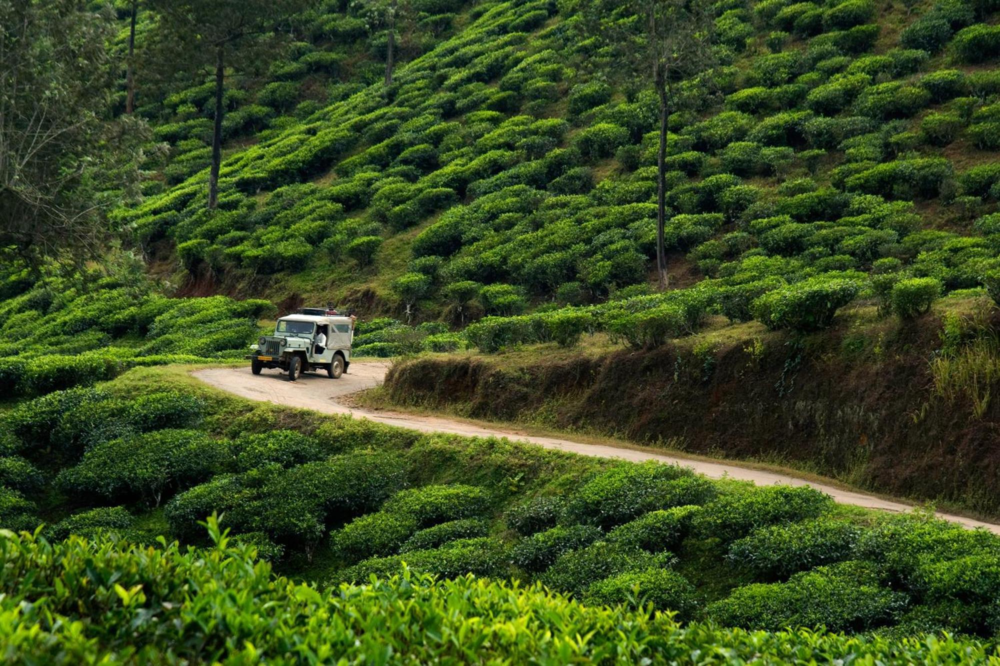 Spicegreen Homestay,تيكَدِيْ المظهر الخارجي الصورة