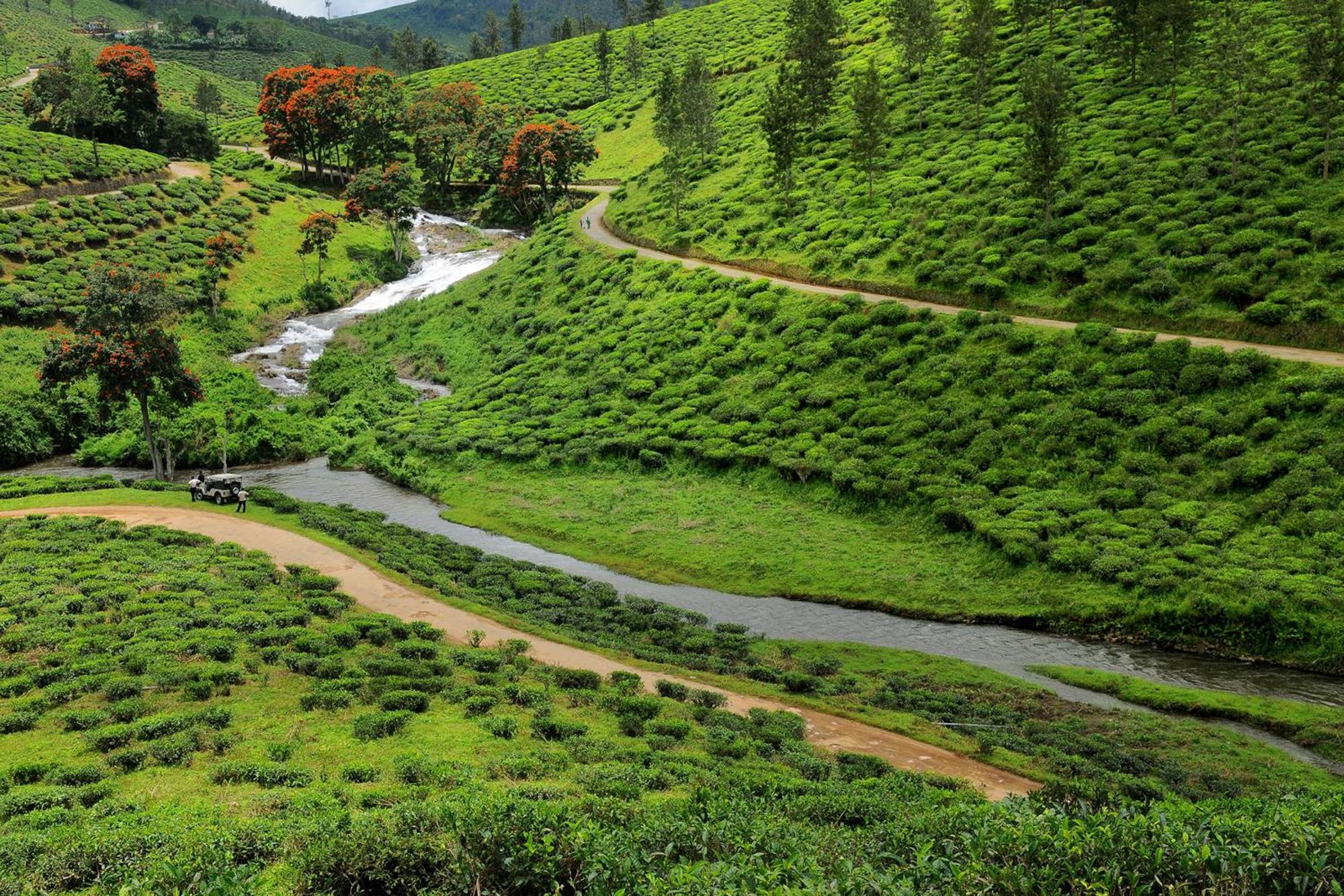 Spicegreen Homestay,تيكَدِيْ المظهر الخارجي الصورة